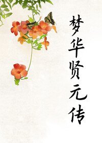 梦华贤元传