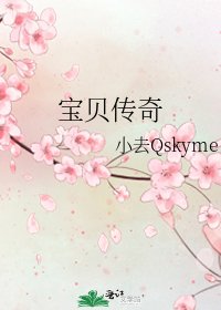 宝贝传奇