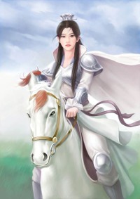 布衣弄國